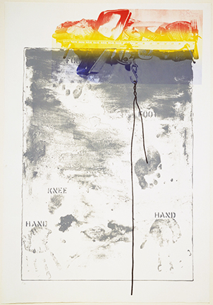 Jasper Johns Pinion